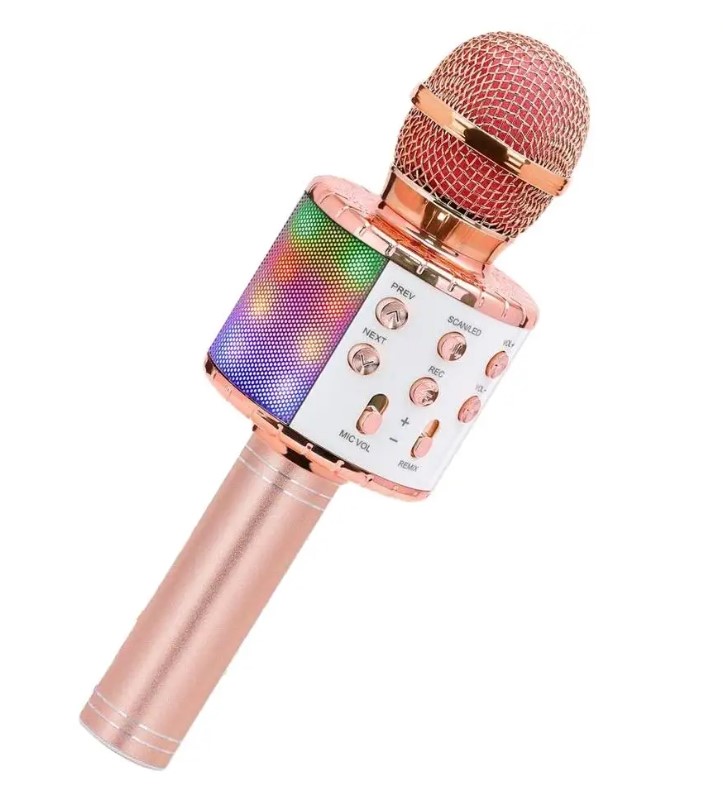 Hutermann karaoke mikrofon pro děti