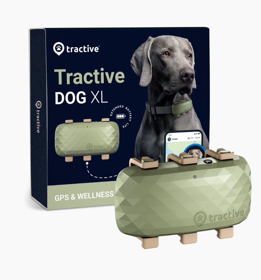 Tractive DOG XL / Adventure - půjčení (Celosvětové pokrytí)..