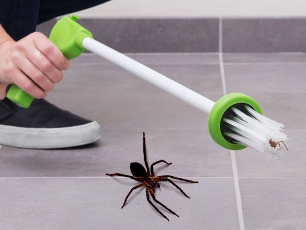 Chytač pavouků Spider Catcher