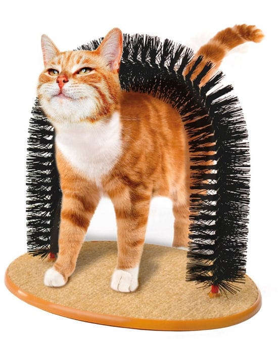 Purrfect arch - masážní kartáč pro kočky